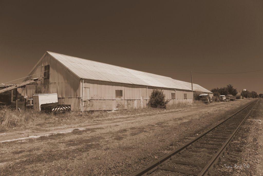 The Long Shed