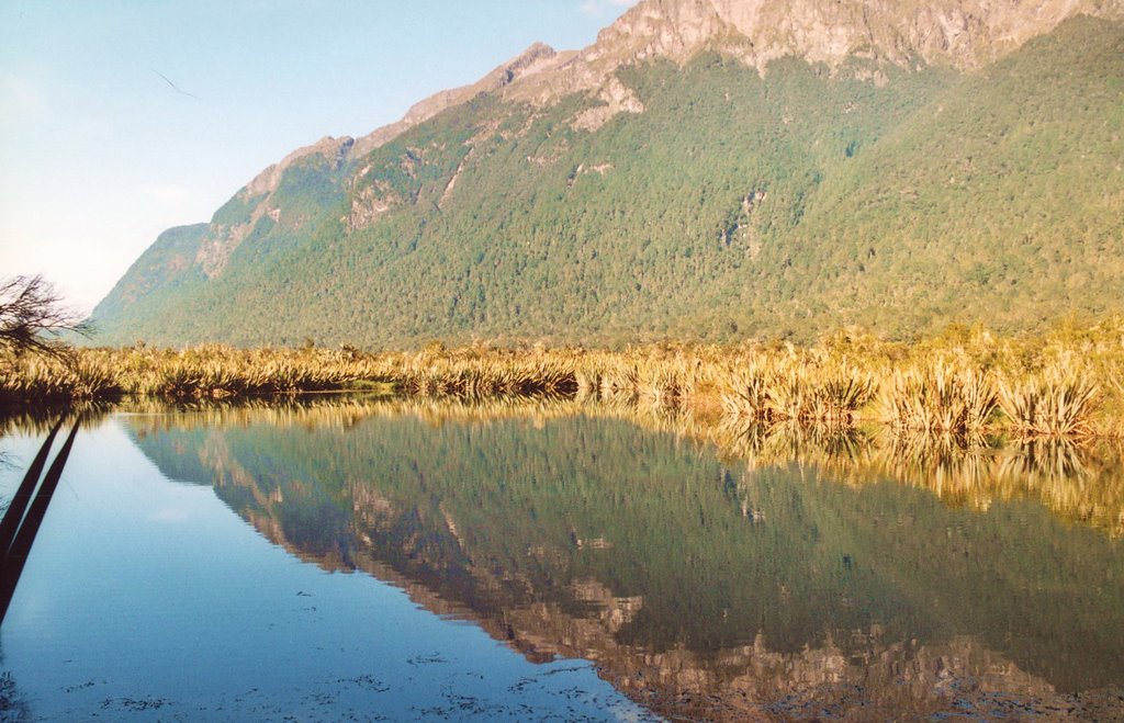 Mirror lake 1, Fiordland NP, NZ