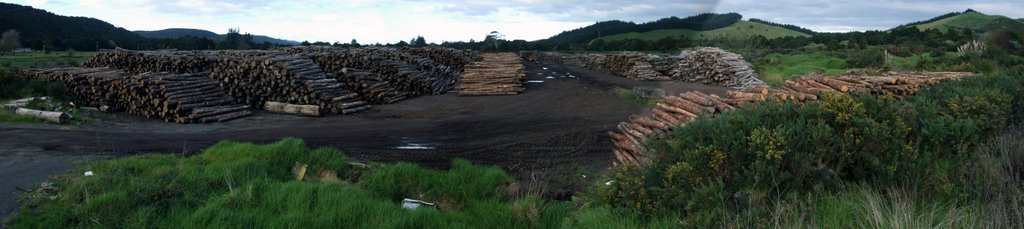 Log yard panorama