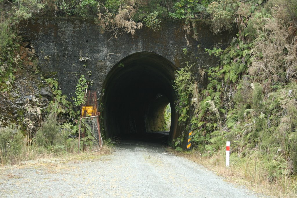 Rewanui Incline Tunnel #1