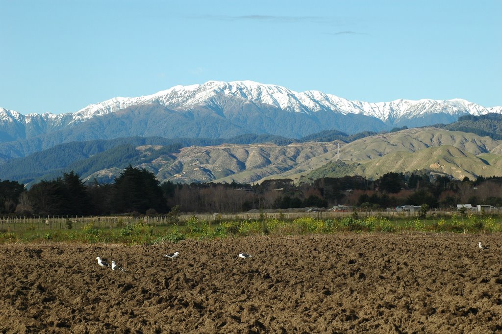 The Tararua Range from Otaki
