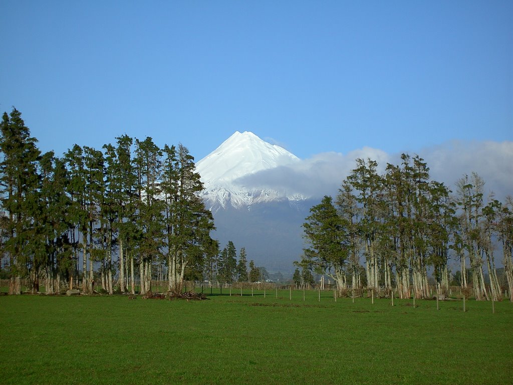Mt Taranaki or Mt Egmont