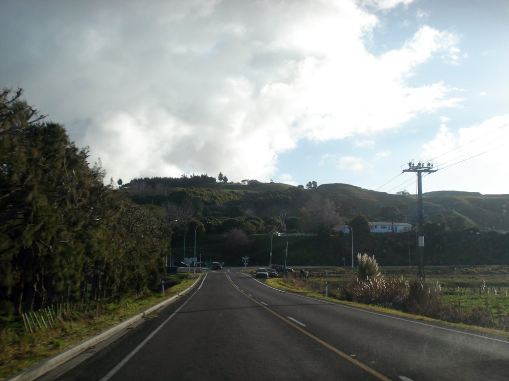 Tauranga - New Zealand