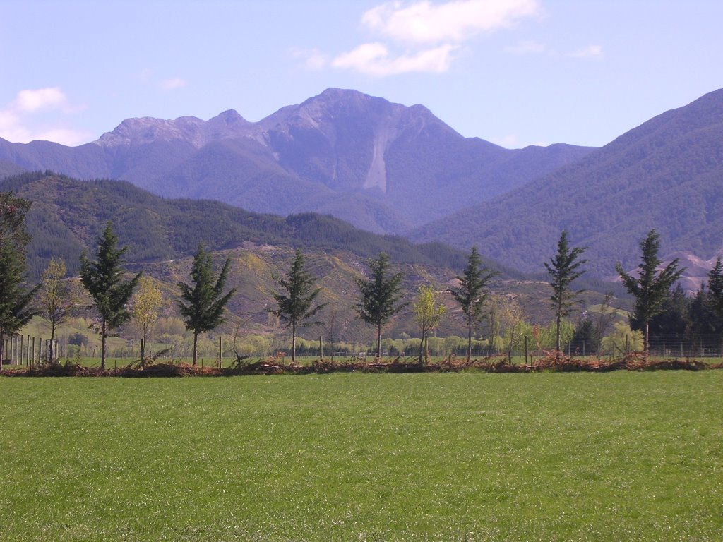 Mt Fishtail from Wairau Valley