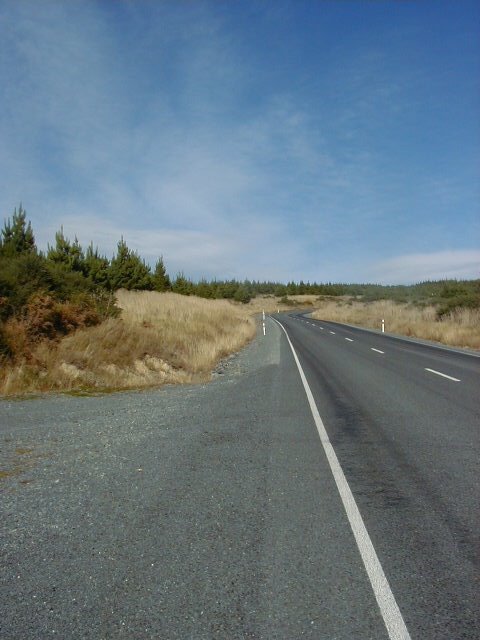 Southern Scenic Road (near Waihola)