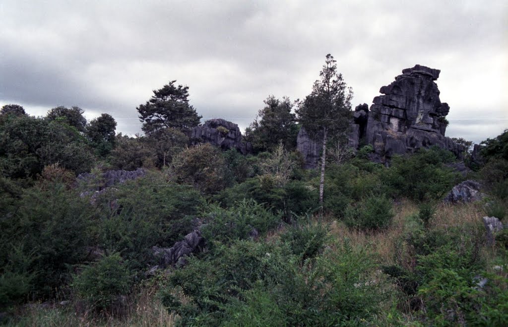Rocks near Waro