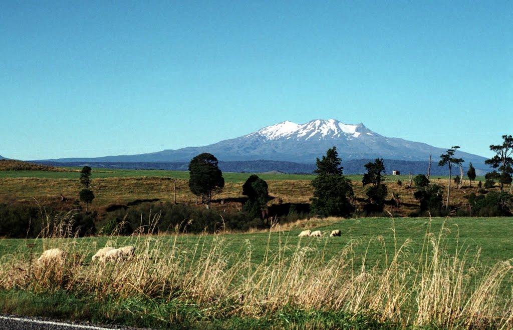 Mt Ruapehu from the road