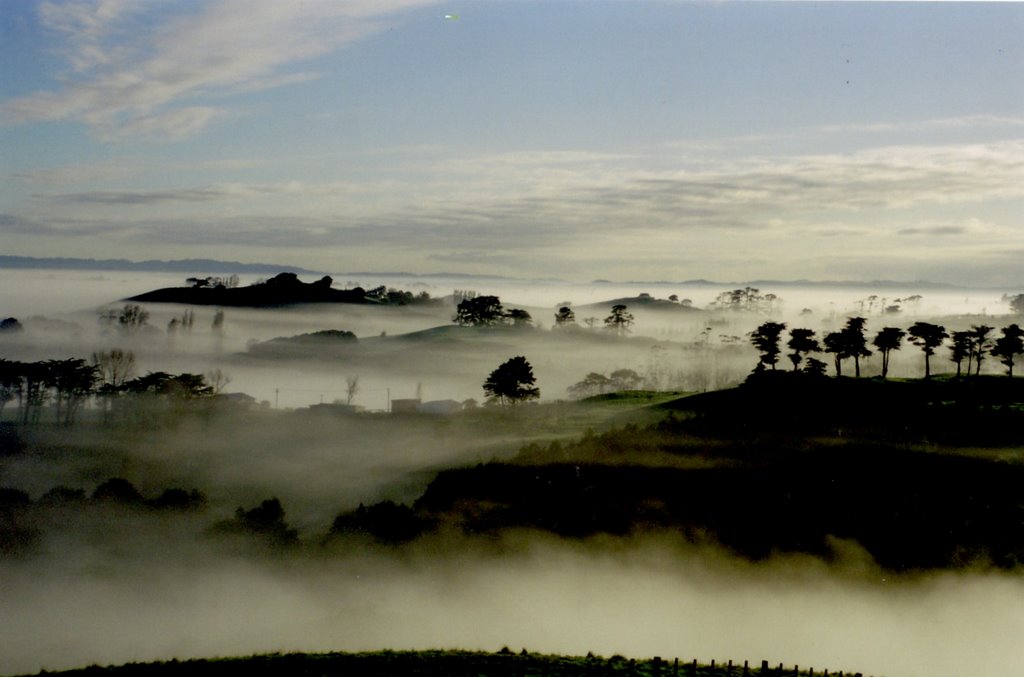 Morning Fog in Tomarata
