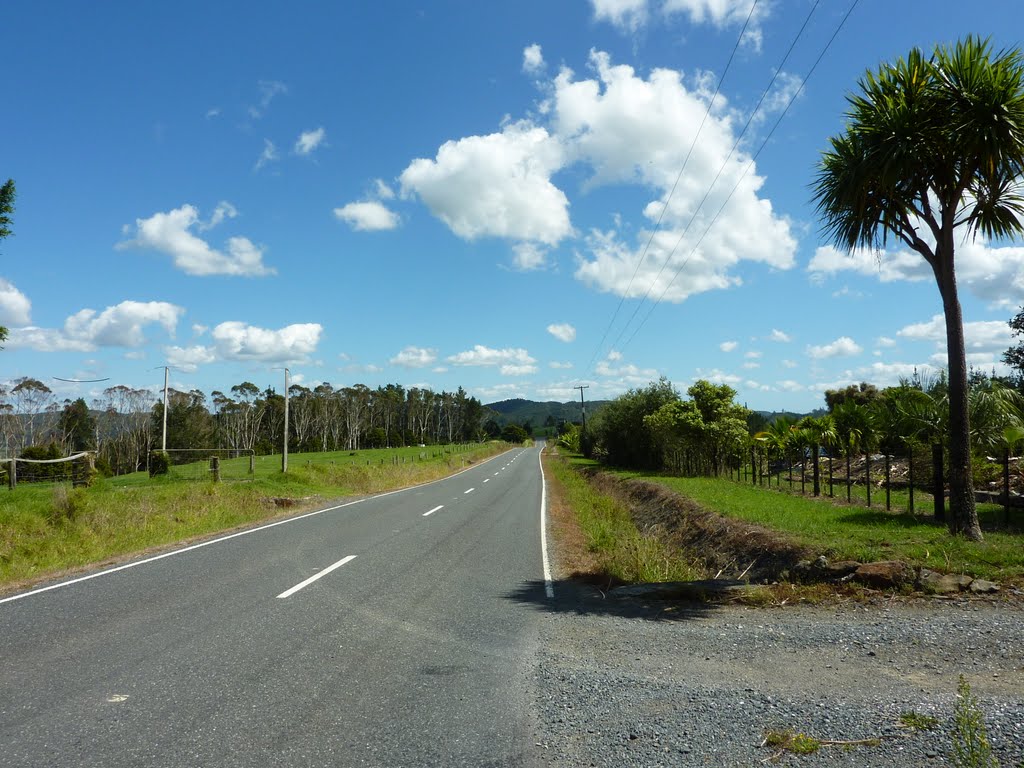 Pakaru Road near Kawakawa