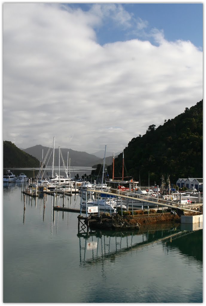 Quiet morning at Picton Harbour  ©gs