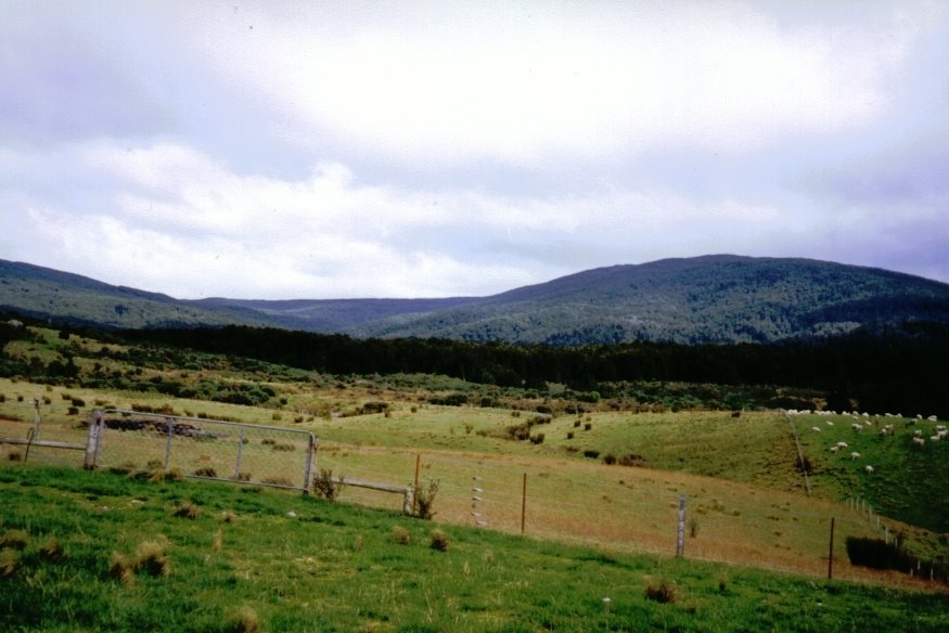 Longwoods Granity Stream Area from farmlands at the head of the Pourakino Valley. Southland. NZ