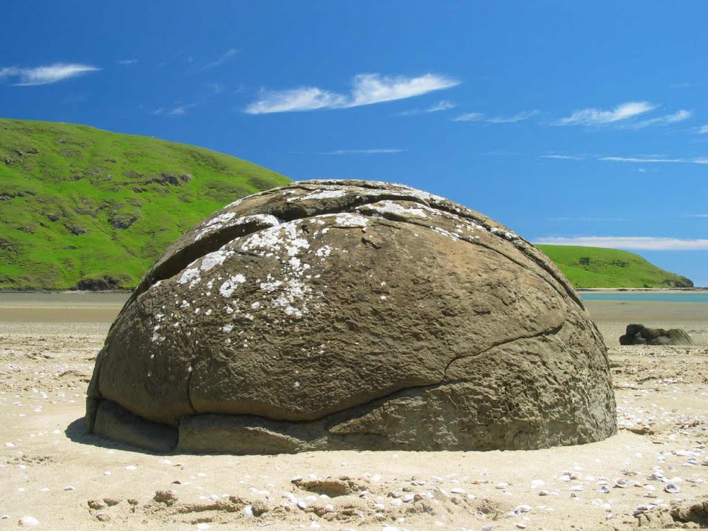 Moeraki-type boulder at low tide, Herekino Harbor