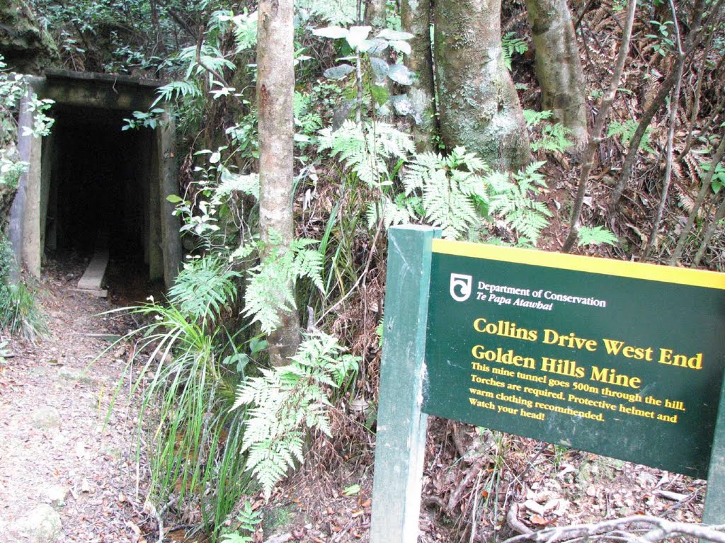 Collins drive tunnel, west end