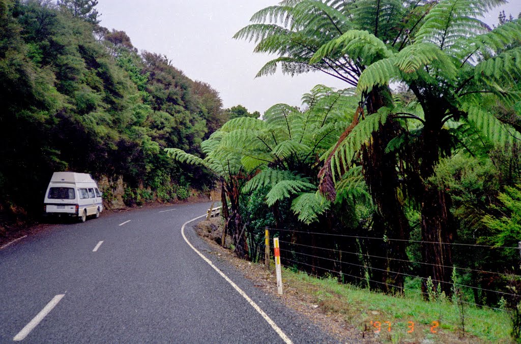 Road through Russel Forest, North Island, New Zealand 1997