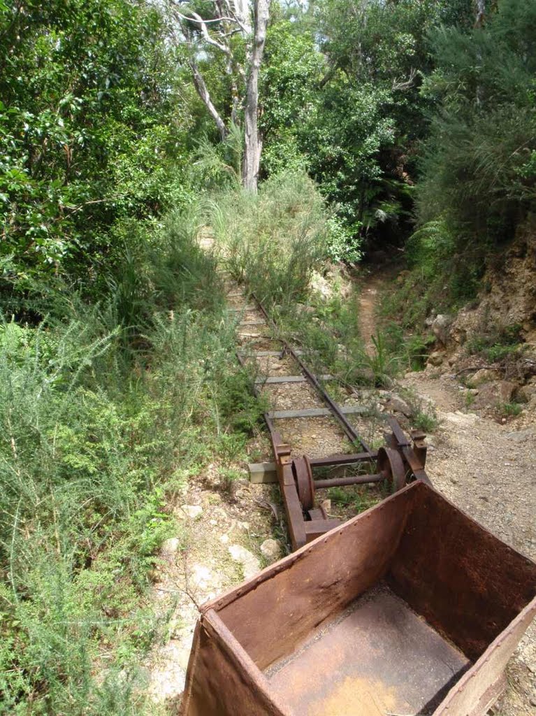 Ore cart and gold-mining rails