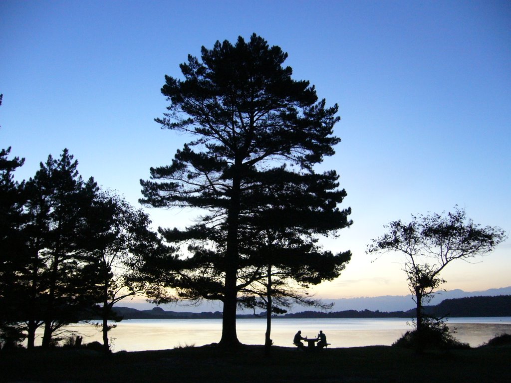 Kai Iwi Lakes Silouette