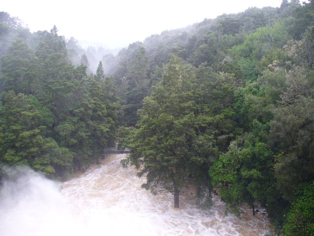Whangarei Falls during storm, flooded basin