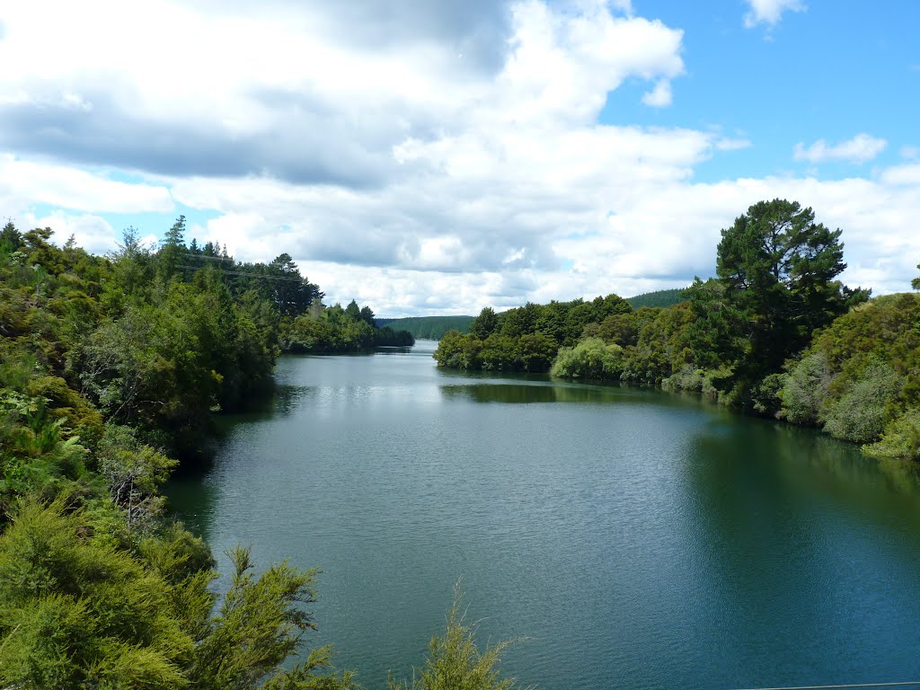 Mangakino Stream from Waikato River Trail