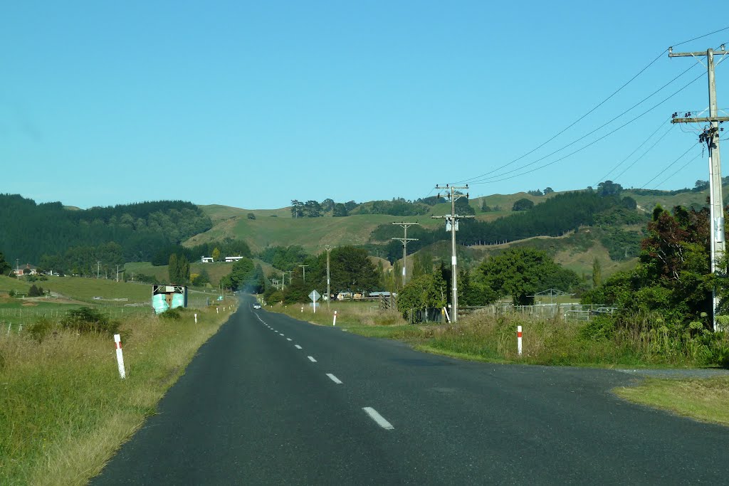 Landscape of the New Zealand