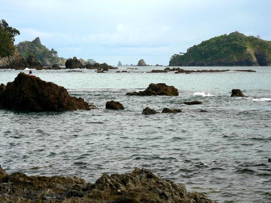 Tauwhara Bay