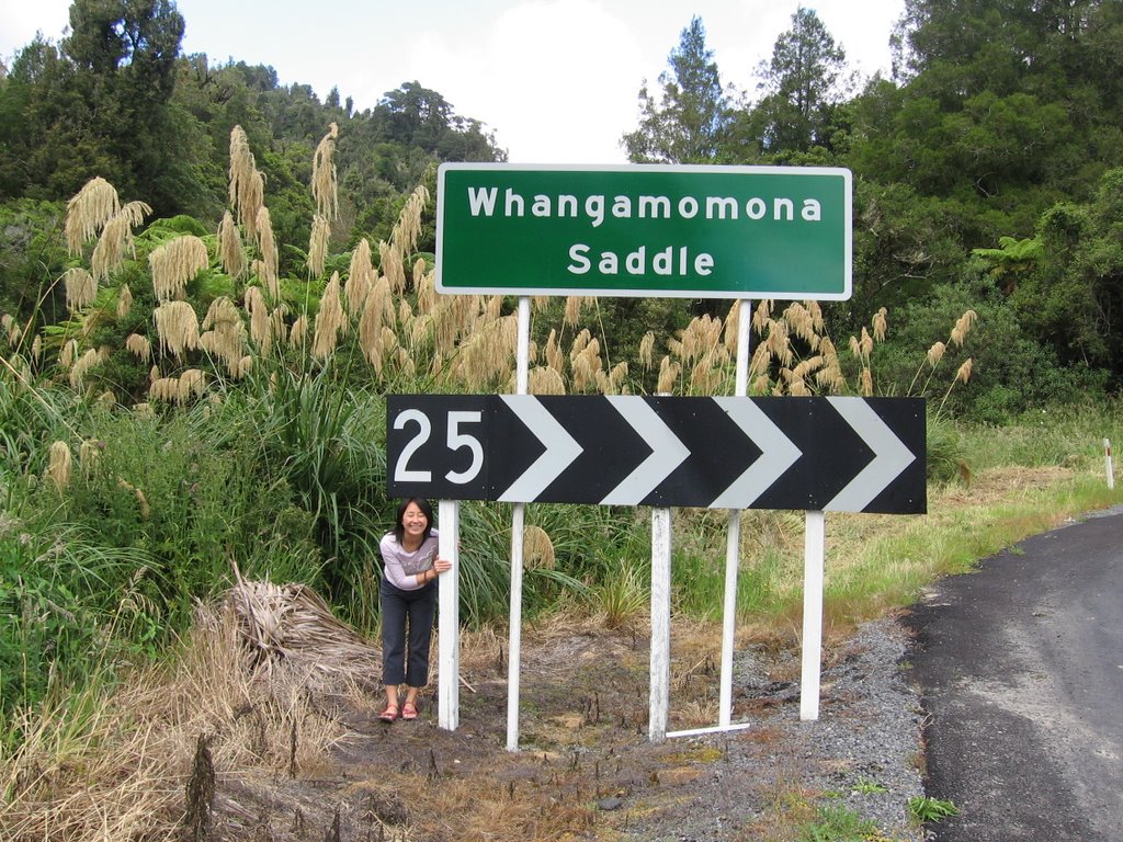 Whangamomona Saddle
