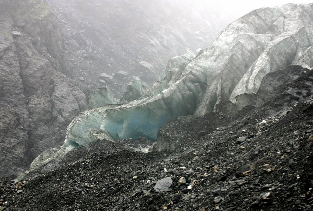 Head of Franz Josef Glacier by Tony Reid