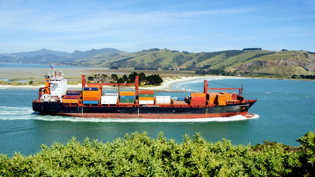 Kontainerschiff aus der Otagobucht bei Dunedin