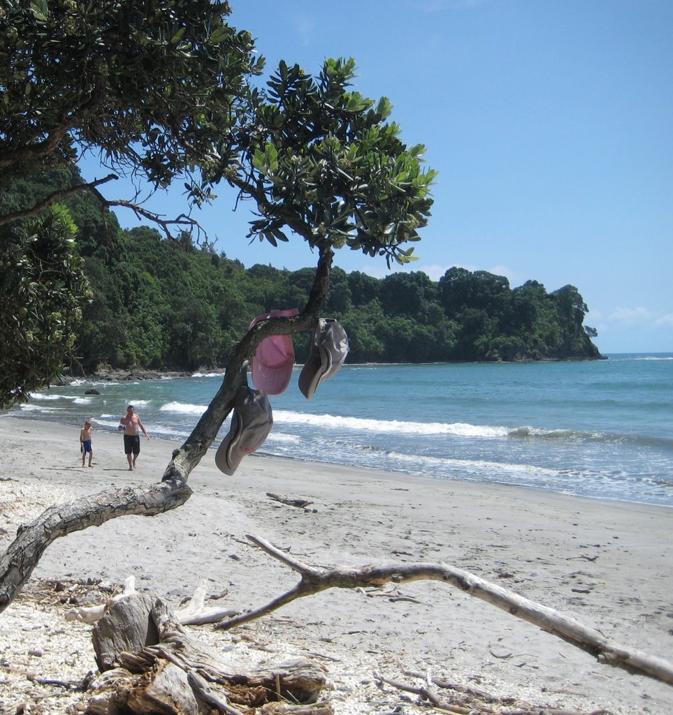 Hat tree, Otarawairere Beach
