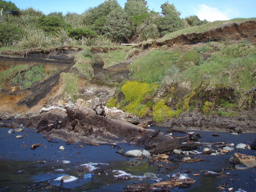 Westcoast erosion