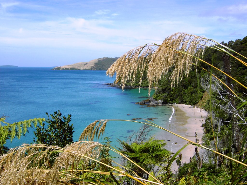 Maori Beach