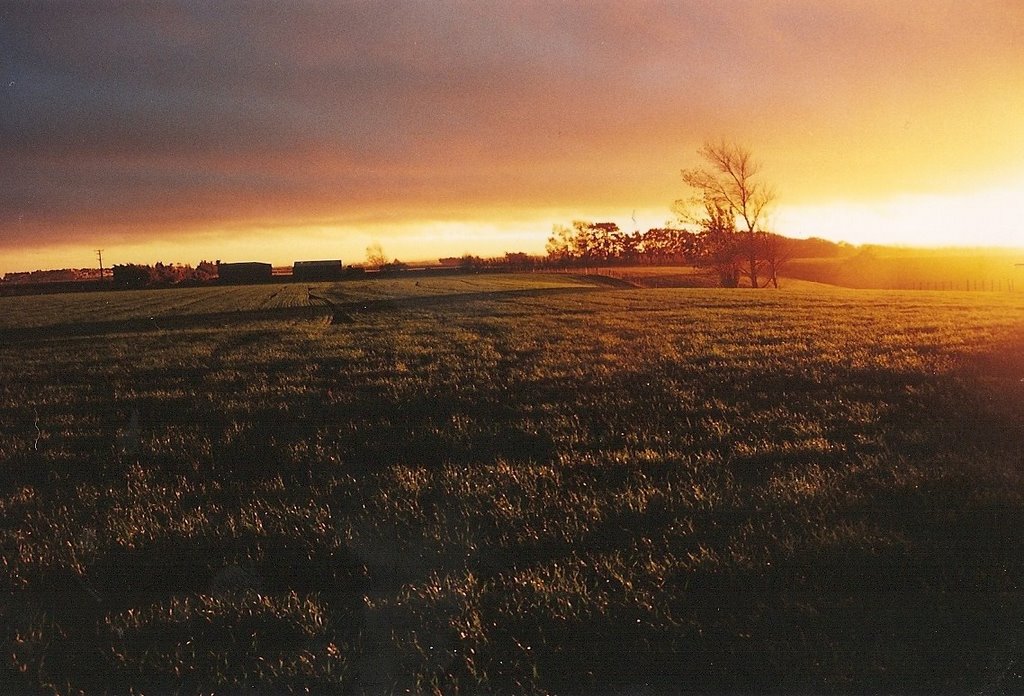 Sunset over Fairfield Road farm (Scan)