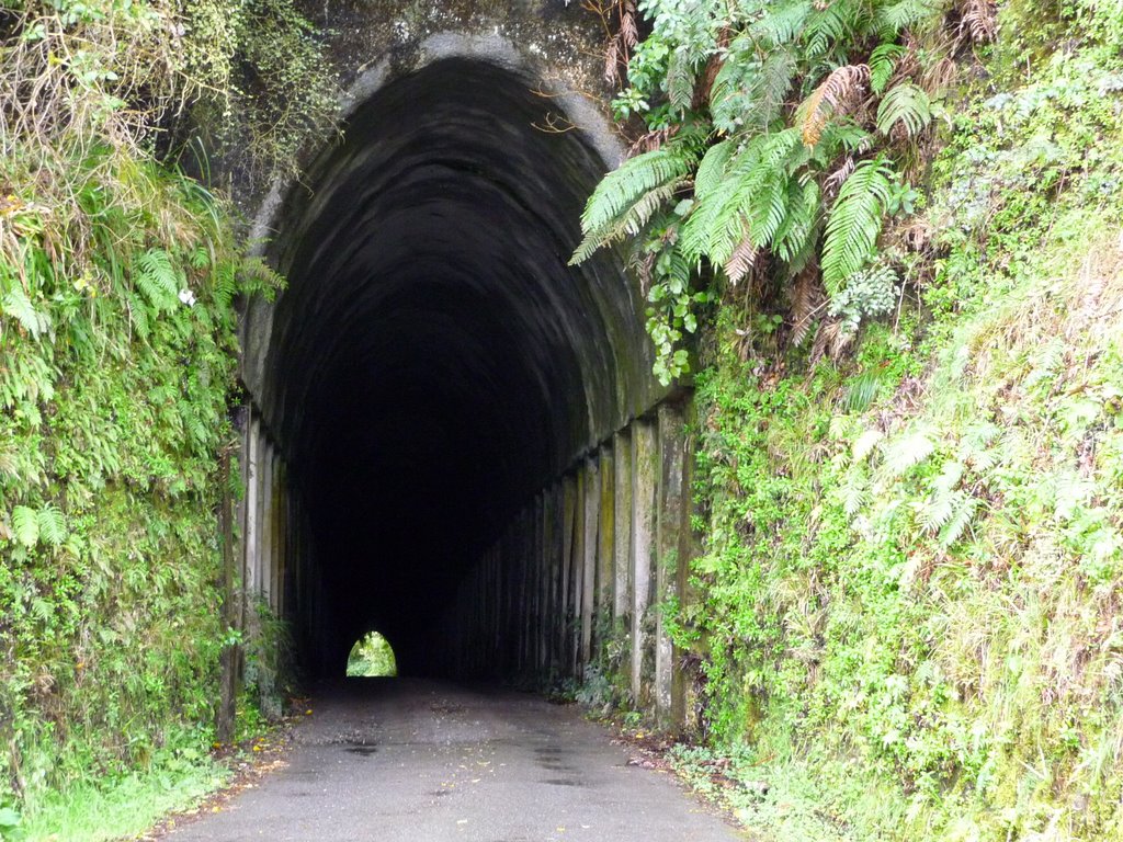 Lost World Tunnel