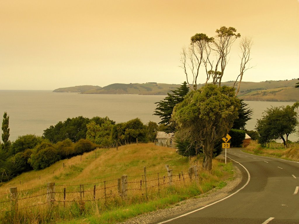 On the road from Karitane to Blueskin Bay - strange light caused by bushfires in Australia
