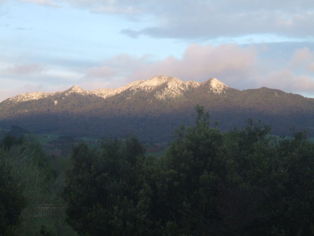 Mount Pirongia snow by early morning light