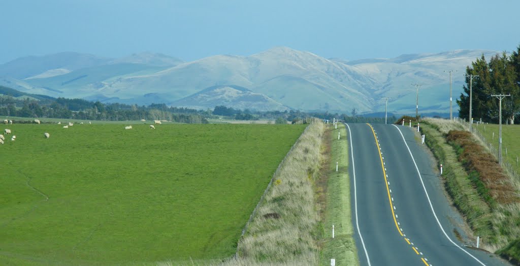 Driving South Otago