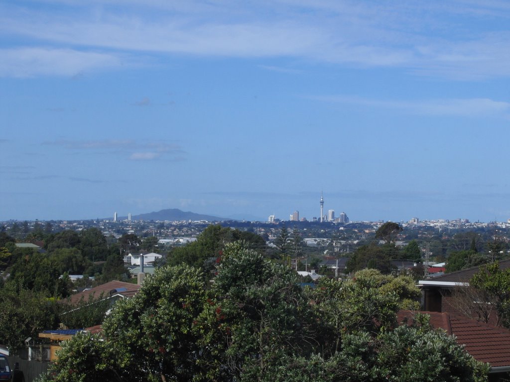 West Auckland View