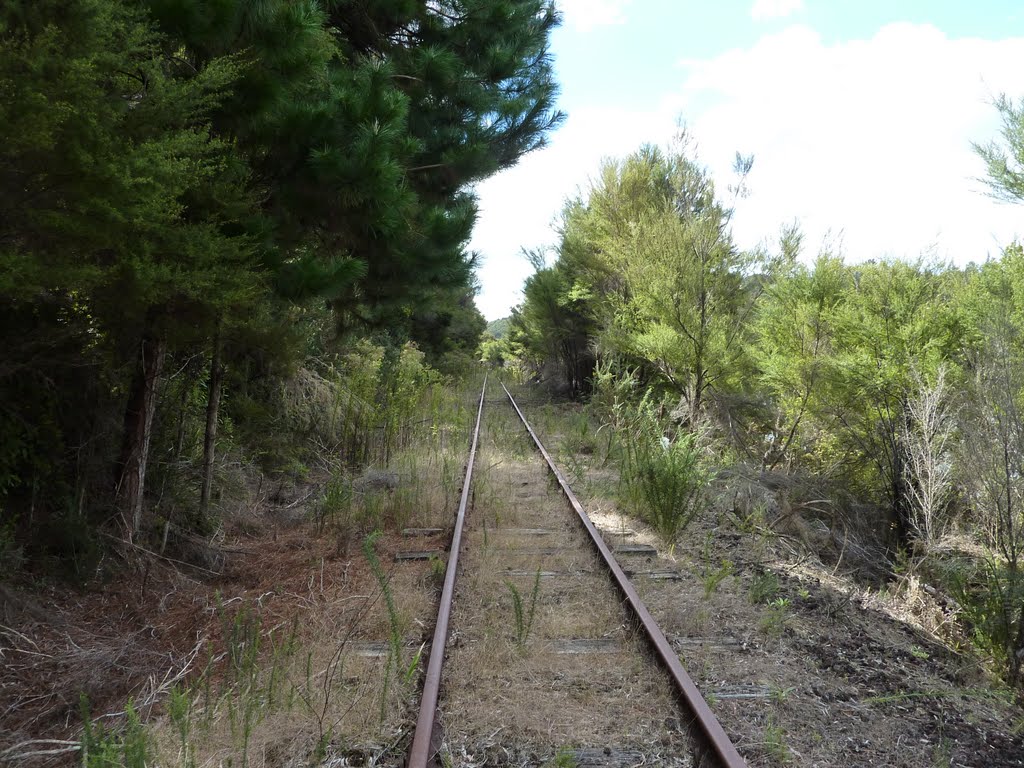 Disused Part of Bay of Islands Vintage Railway