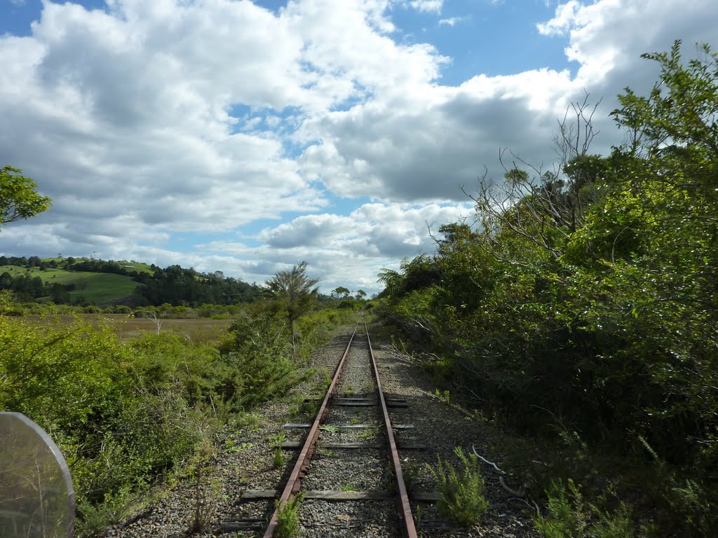 Disused Part of Bay of Islands Railway (taken from Jigger)