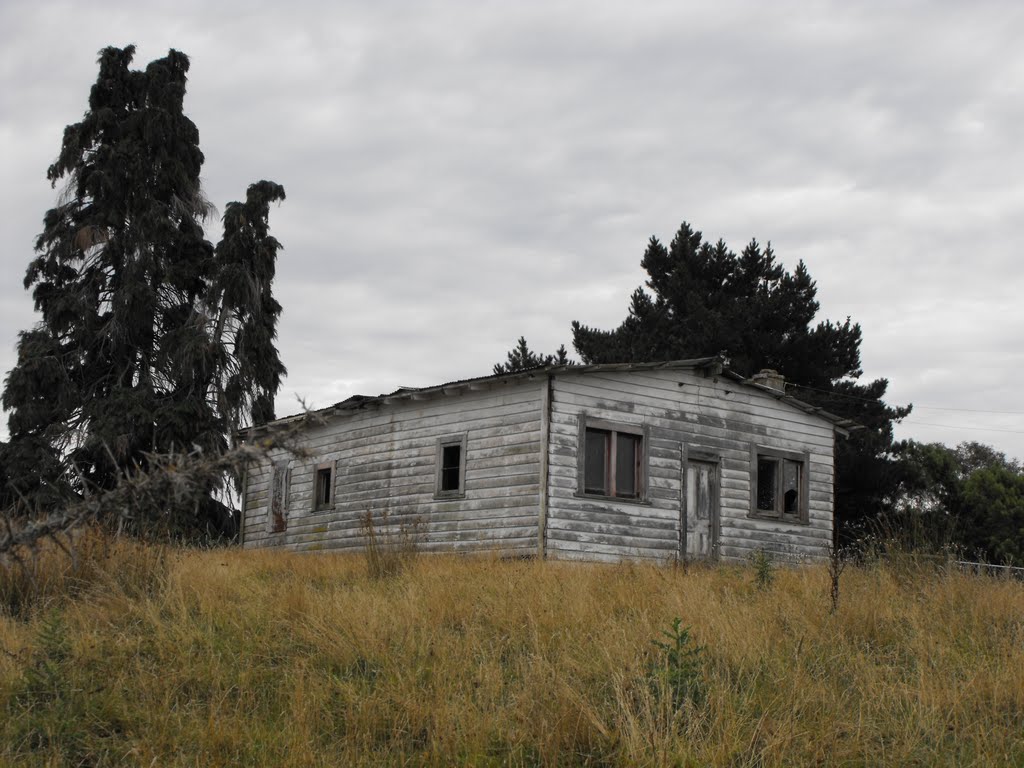 Old farm near Takaka, New Zealand