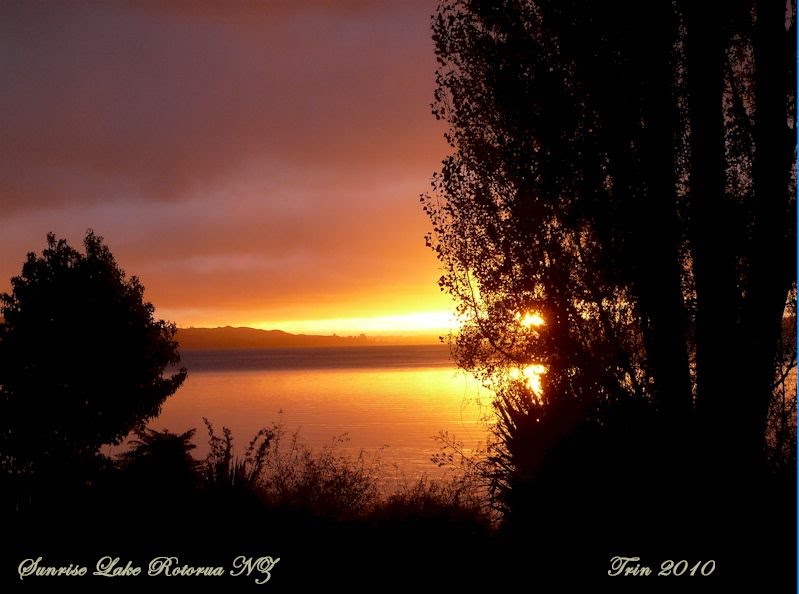 Sunrise Lake Rotorua