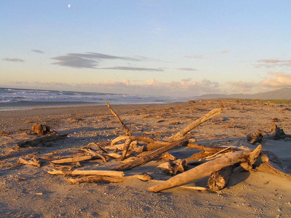 Haast Beach at sunset March 2006