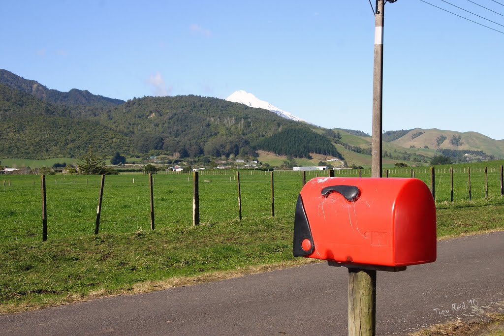 Taranaki Mailbox