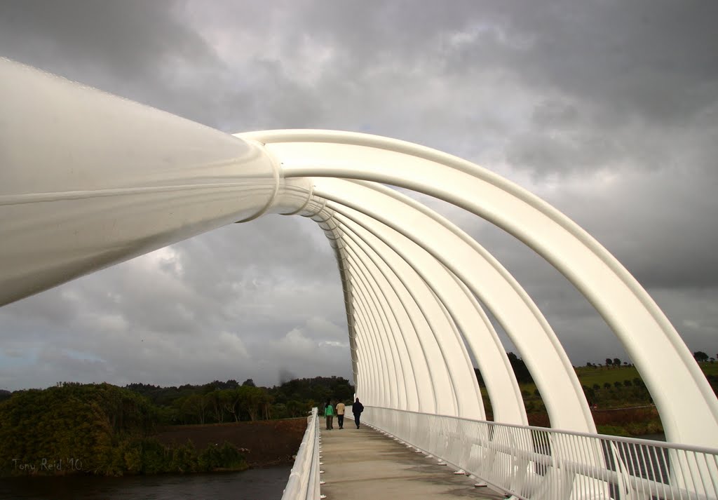 Te Rewa Rewa Bridge, 7th June 2010