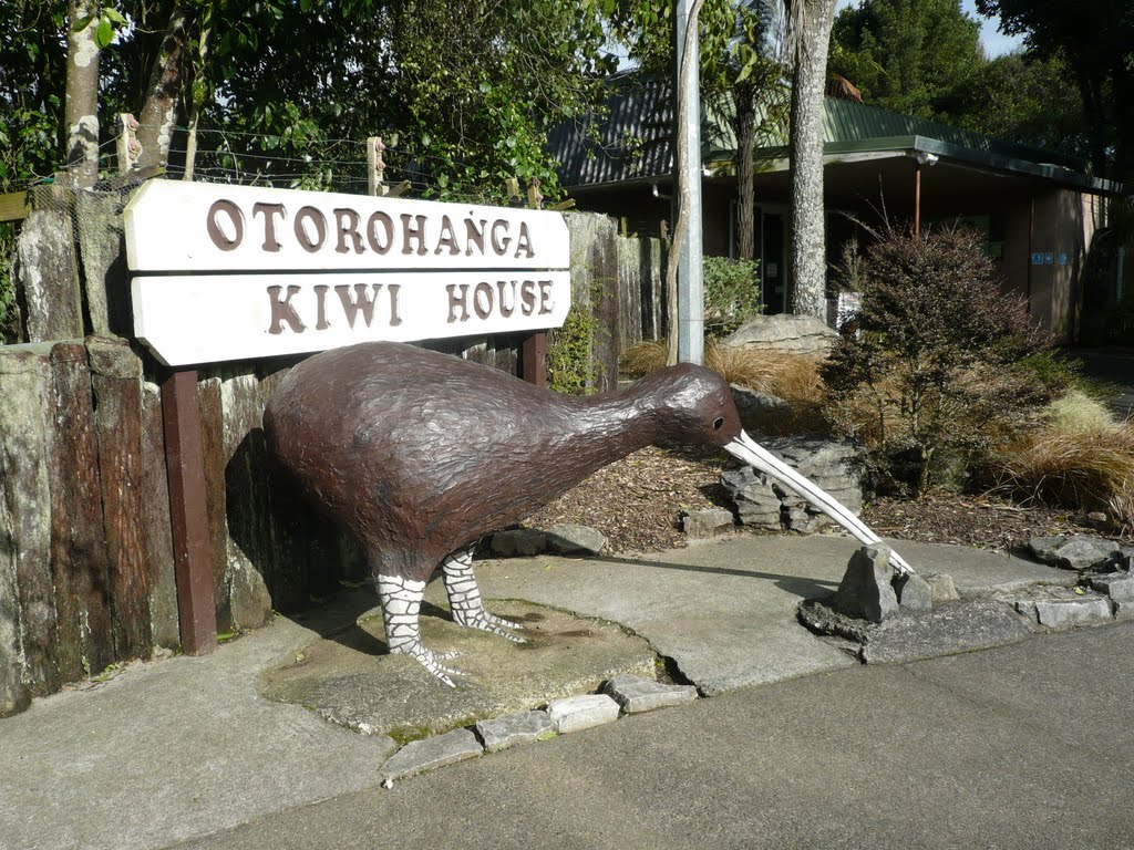 Otorohanga  kiwi house