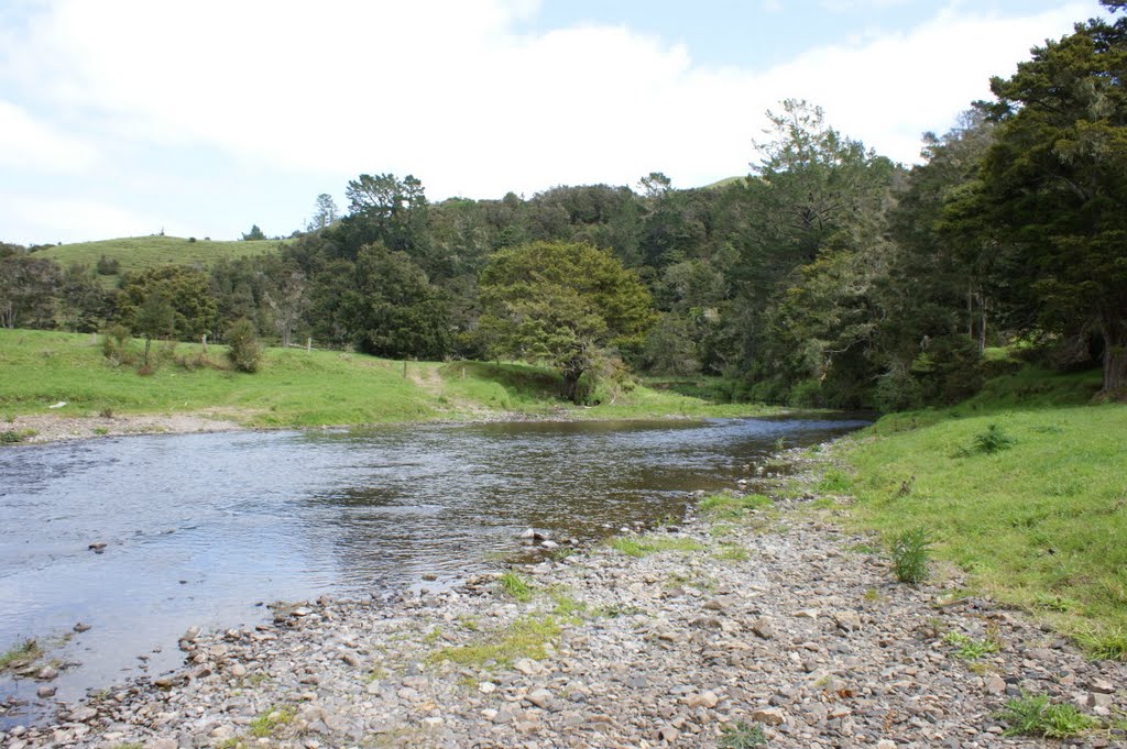 River near Kawakawa New Zealand