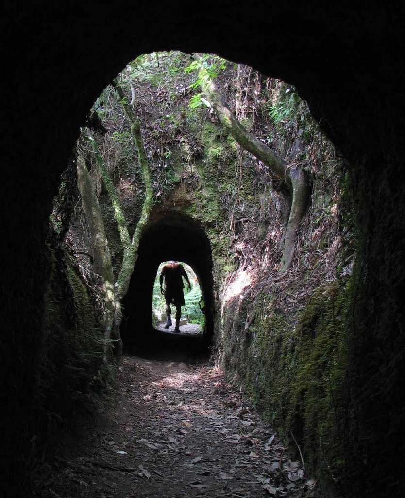 The Water Race tunnels track