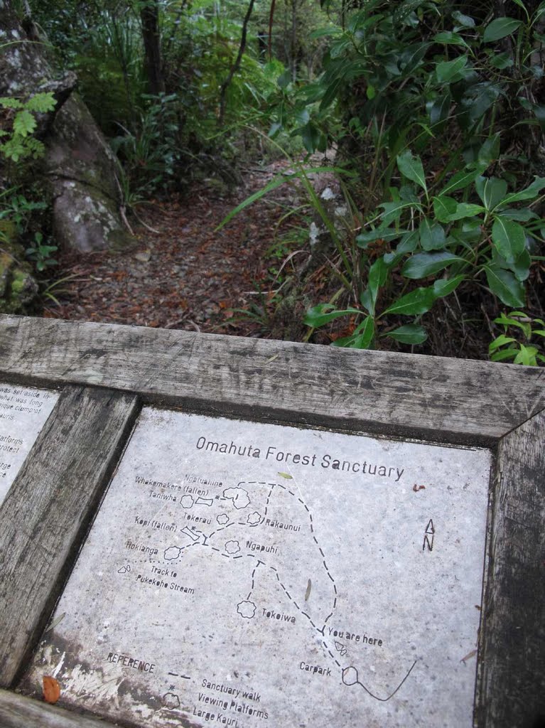 Omahuta Forest Sanctuary Kauri loop track map