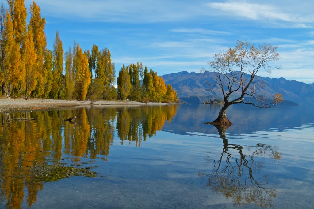 Autumn Colours, Lake Wanaka, South Island of New Zealand