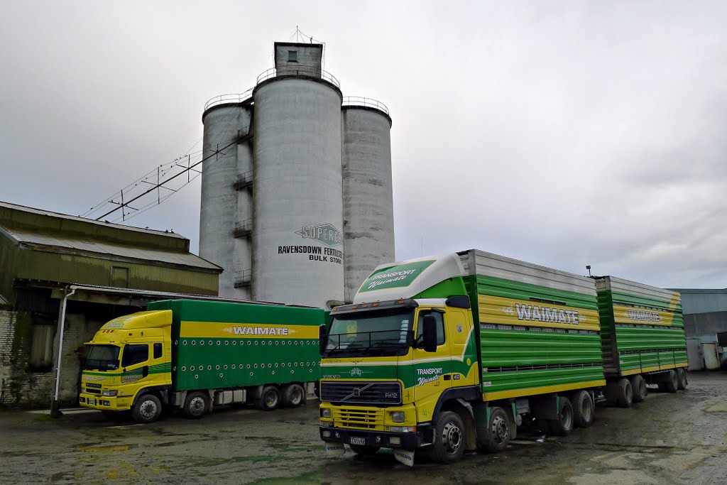 Green and Gold Livery, Waimate, NZ
