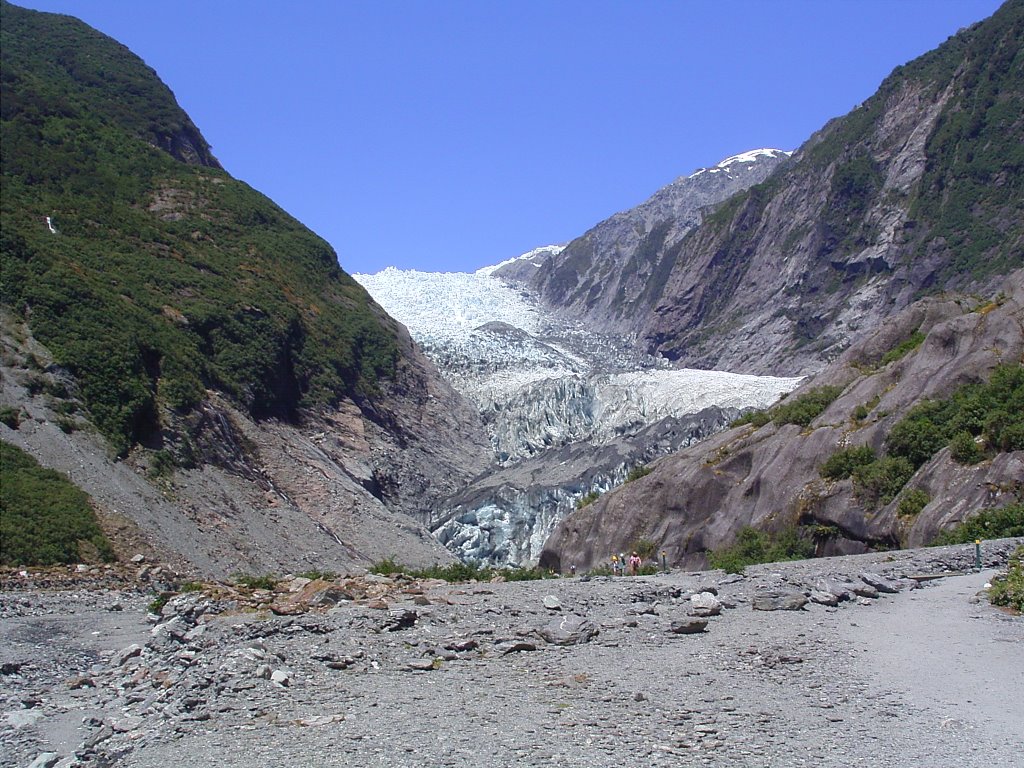 New Zealand - Franz Jozef Glacier